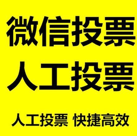 拉萨市投票活动拉票能被查出来吗？如何操作能不被发现？